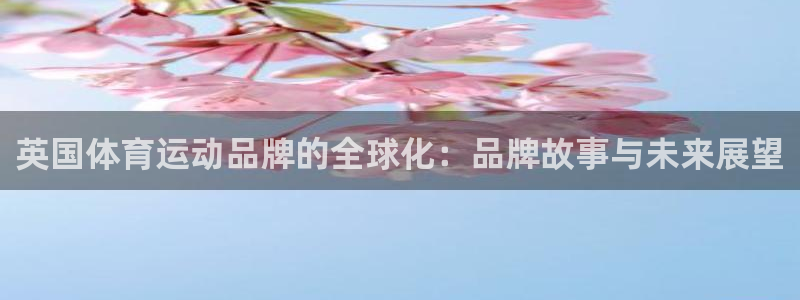 雨燕ufc直播在线直播：英国体育运动品牌的全球化：品牌故事与未来展望