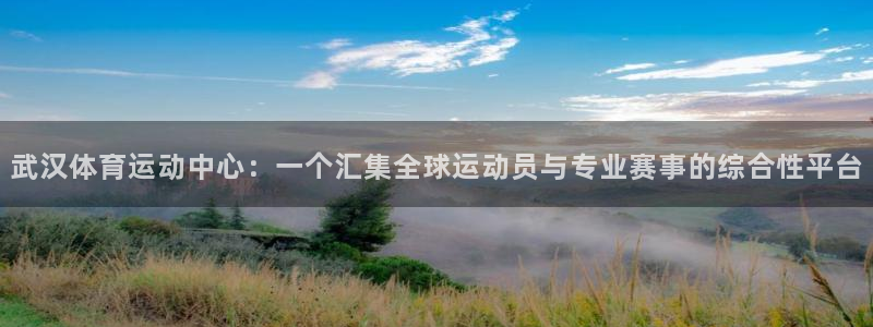 雨燕nba在线直播无插件：武汉体育运动中心：一个汇集全球运动员与专业赛事的综合性平台