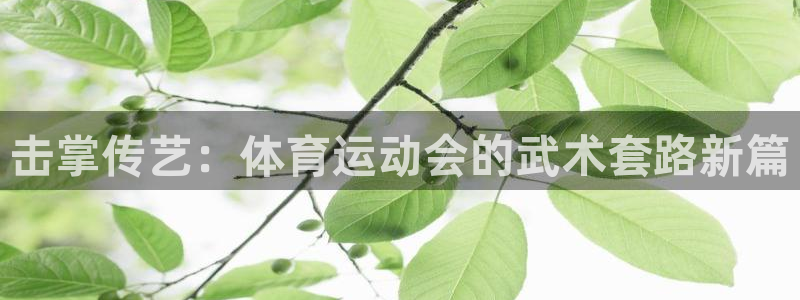 雨燕cba直播高清免费直播：击掌传艺：体育运动会的武术套路新篇
