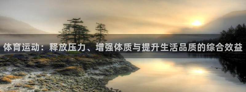 蜘蛛体育和雨燕直播对比：体育运动：释放压力、增强体质与提升生活品质的综合效益