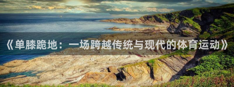 雨燕篮球直播nba在线直播：《单膝跪地：一场跨越传统与现代的体育运动》