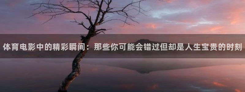 雨燕app体育在线直播：体育电影中的精彩瞬间：那些你可能会错过但却是人生宝贵的时刻