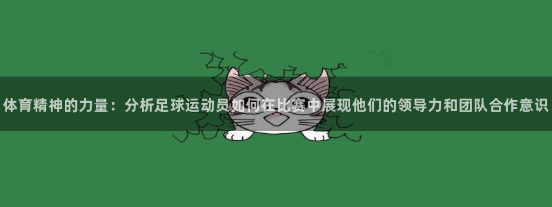 雨燕nba在线直播无插件：体育精神的力量：分析足球运动员如何在比赛中展现他们的领导力和团队合作意识