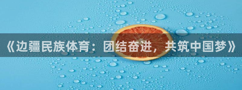 雨燕obd接口在哪图片：《边疆民族体育：团结奋进，共筑中国梦》