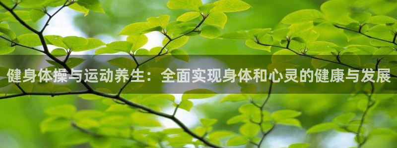 雨燕nba直播：健身体操与运动养生：全面实现身体和心灵的健康与发展