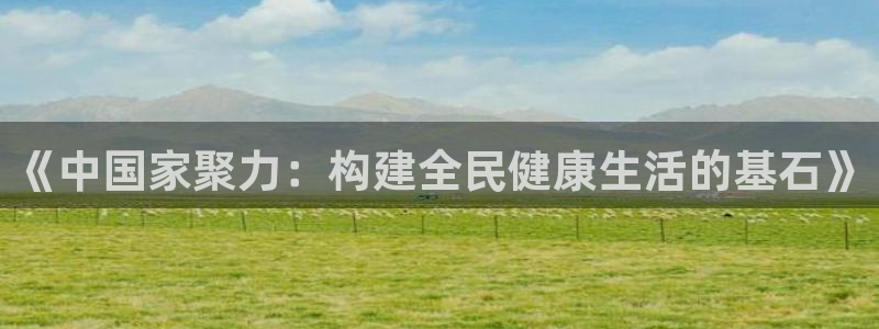 雨燕isofix接口使用方法：《中国家聚力：构建全民健康生活的基石》