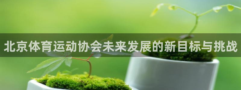 光速体育雨燕：北京体育运动协会未来发展的新目标与挑战