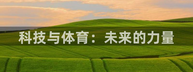 雨燕obd连接不上：科技与体育：未来的力量