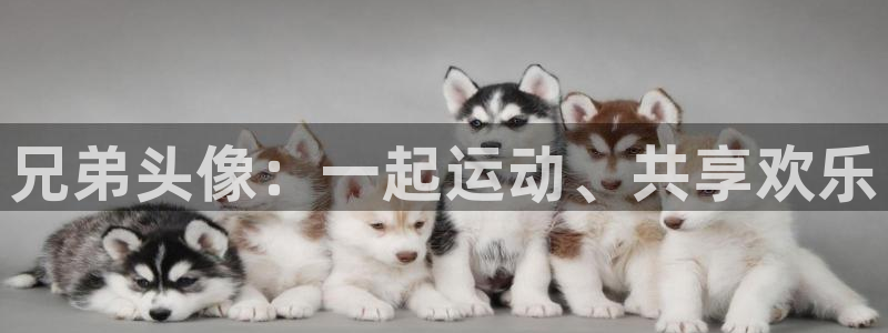 雨燕篮球直播nba在线直播：兄弟头像：一起运动、共享欢乐
